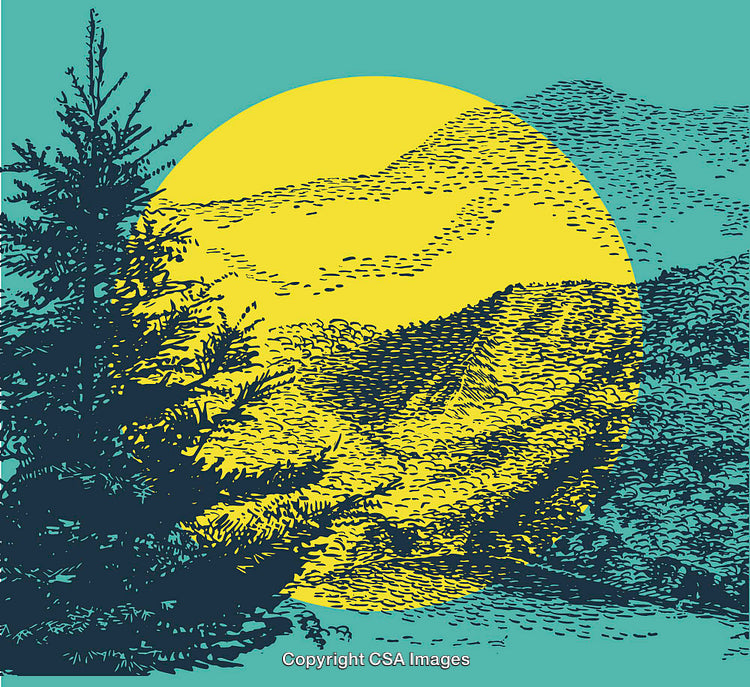 Colorful Line Art Landscape With Mountain and Pine Tree Silhouettes