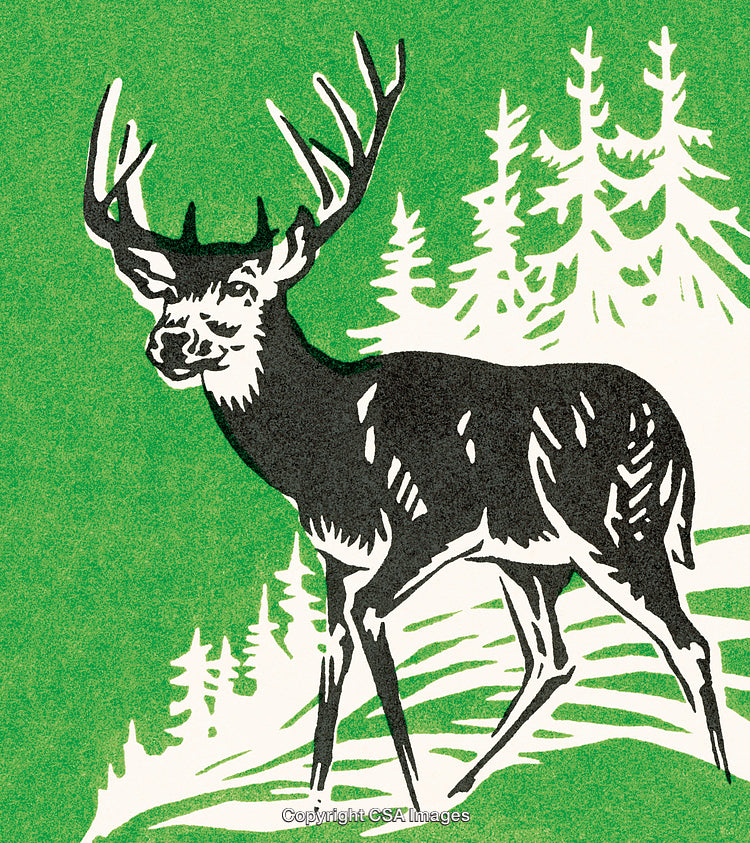 Illustrated Deer with Antlers in a Forest Setting with Vibrant Green Background