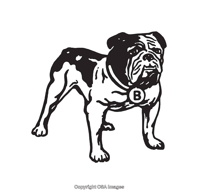 Black and White Line Art Illustration of a Strong Bulldog