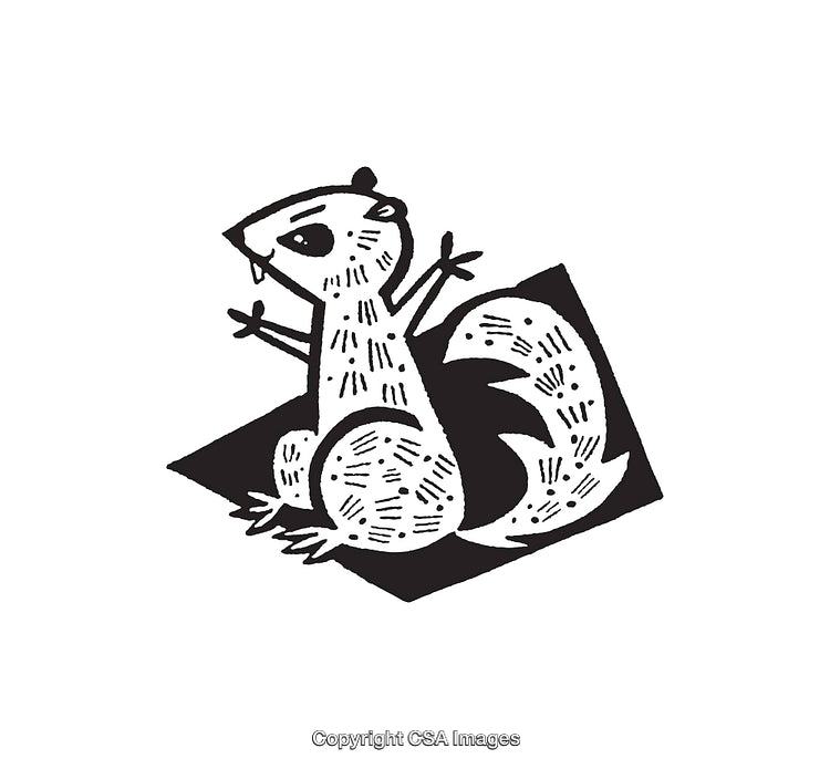 Black and White Line Art of a Small Rodent in a Dynamic Pose