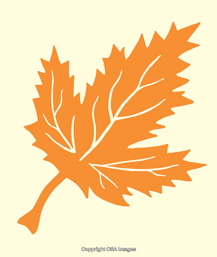 Autumn Leaf Silhouette Illustration on a Soft Pale Background