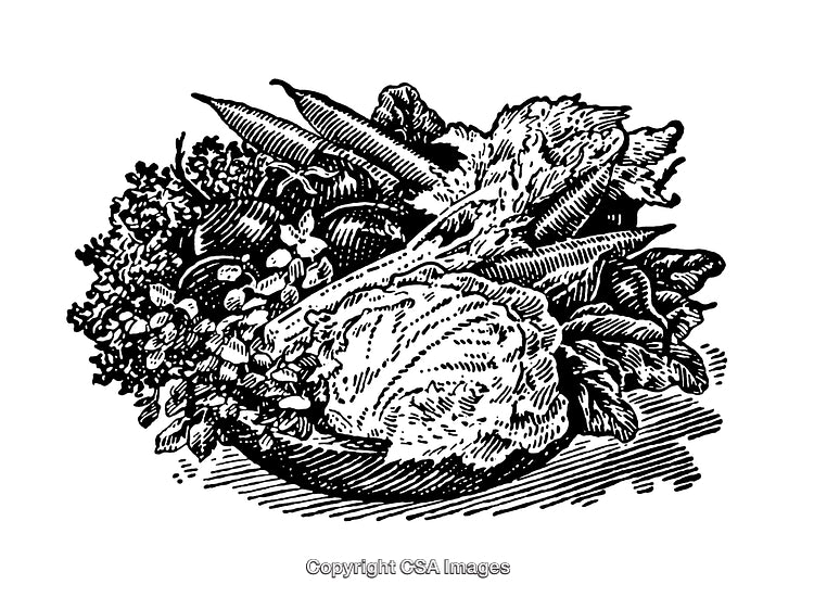 Engraved Illustration of Fresh Vegetables in a Rustic Presentation