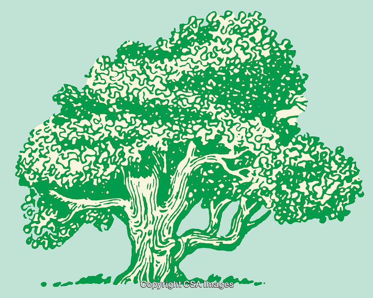 Detailed Line Art Illustration of a Green Tree on a Light Background