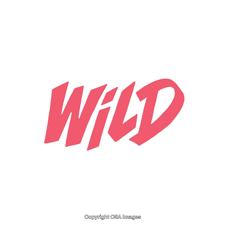 Dynamic Pink 'Wild' Text On A Minimalist White Background