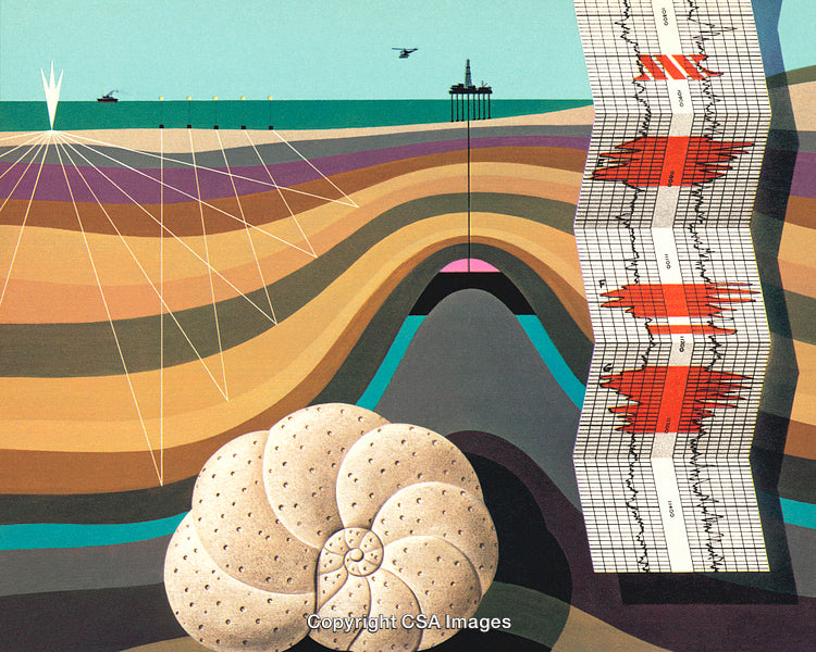 Geological Layers with Graphical Depictions Representing Subsurface Analysis and Fossil Studies