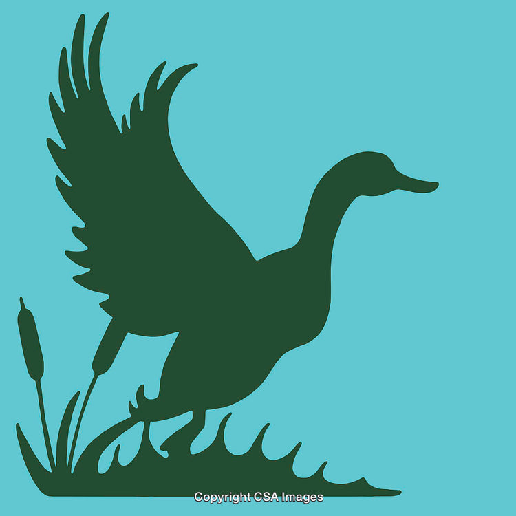 Elegant Silhouette of a Duck in Natural Marsh Landscape