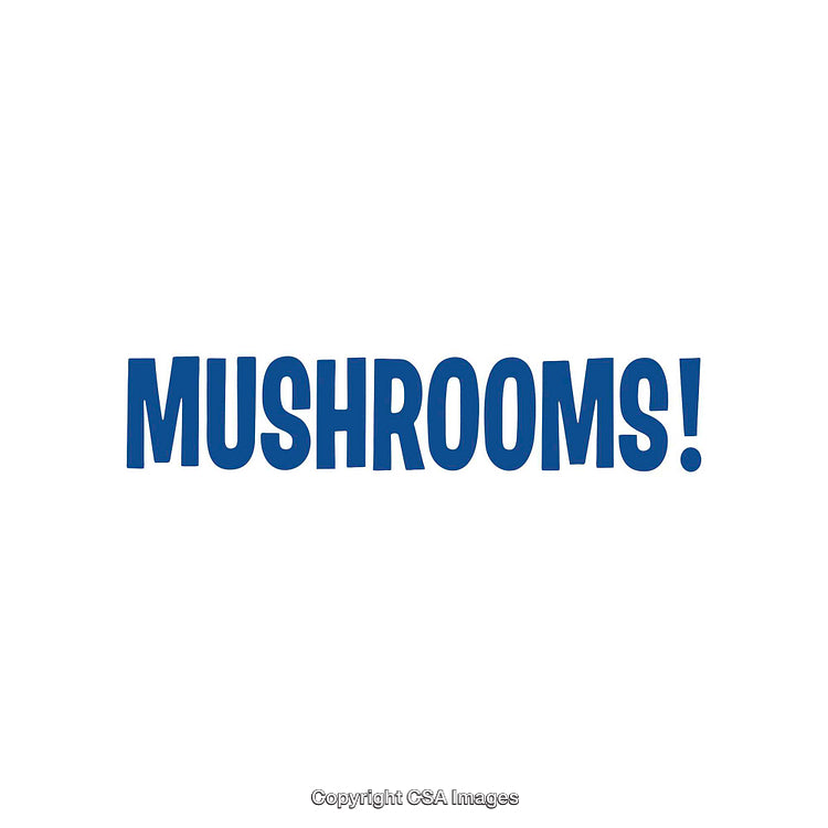 Bold Blue 'Mushrooms' Text on a Minimalistic White Background