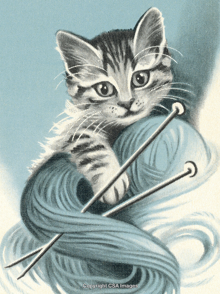 Adorable Cat With Yarn and Knitting Needles in a Retro Illustration