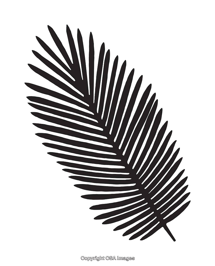 Black and White Silhouette of a Palm Leaf Illustration
