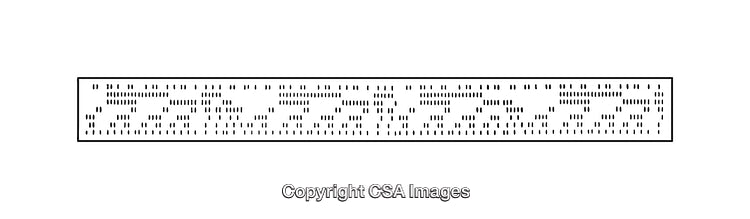 Intricate Black and White Diagram Featuring Geometric Patterns and Designs