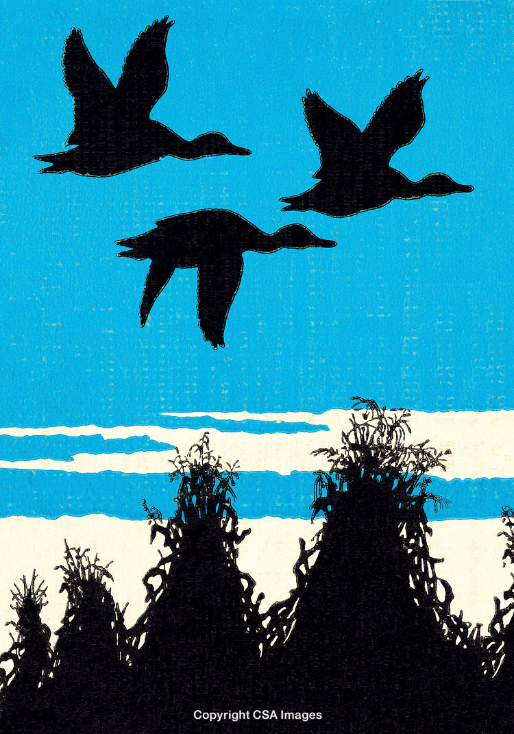 Silhouette of Three Birds Flying Over Crops Against a Blue Sky