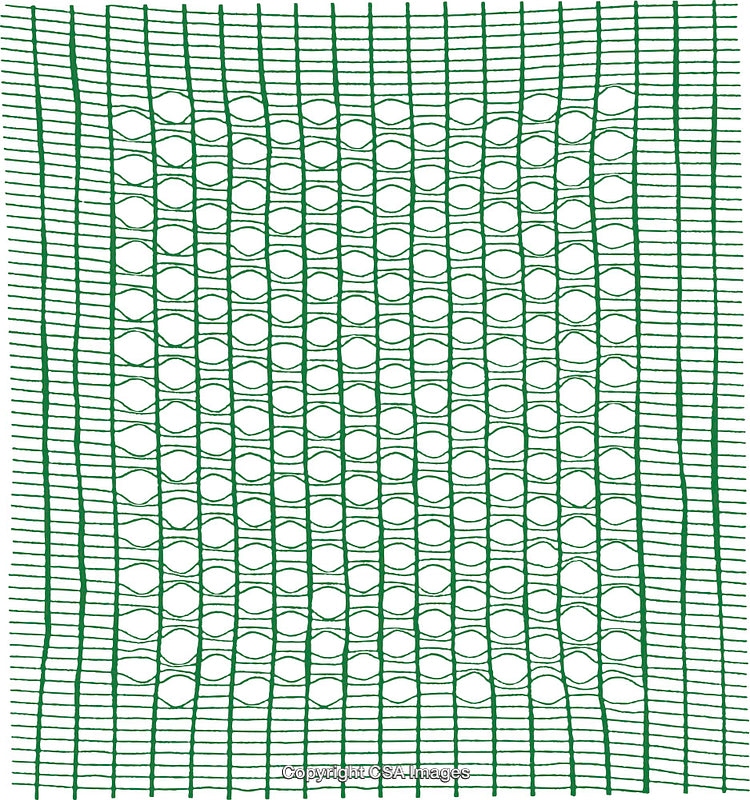 Green Lattice Pattern with Decorative Geometric Appearance on White Background