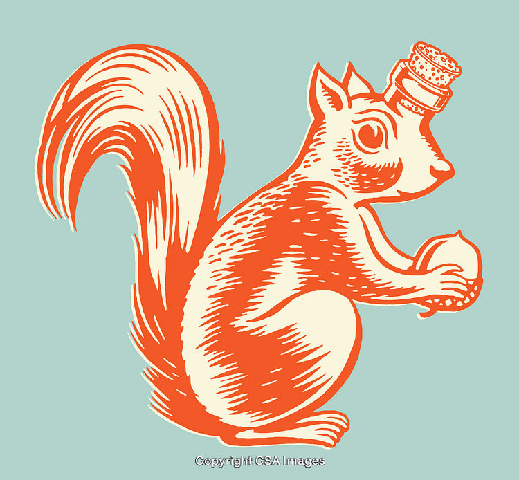 Playful Squirrel Illustration Holding Nut in Retro Line Art Style
