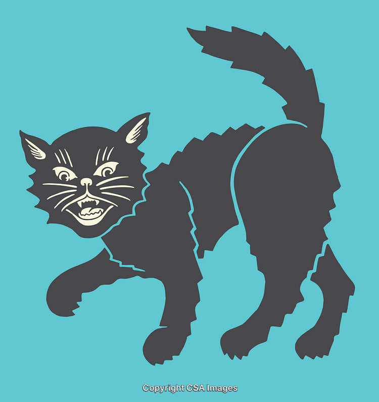 Vintage Style Illustration of an Angry Cat on Teal Background
