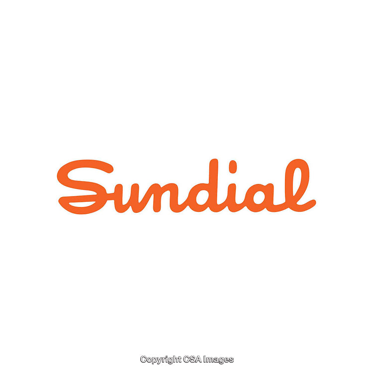 Bold Orange Sundial Word Logo on Clean White Background