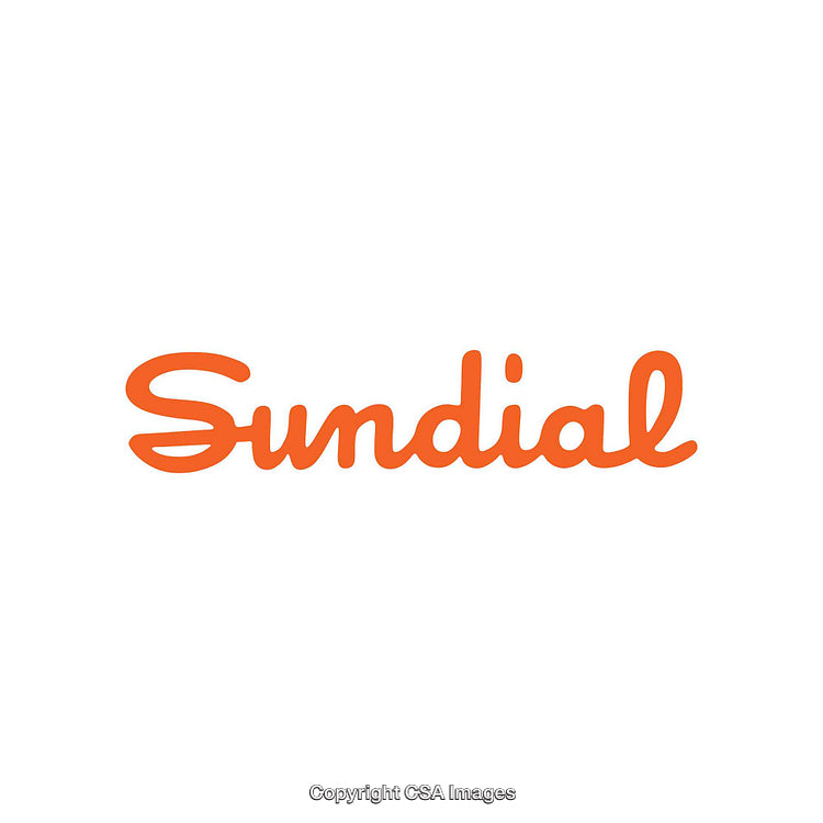 Bold Orange Sundial Word Logo on Clean White Background