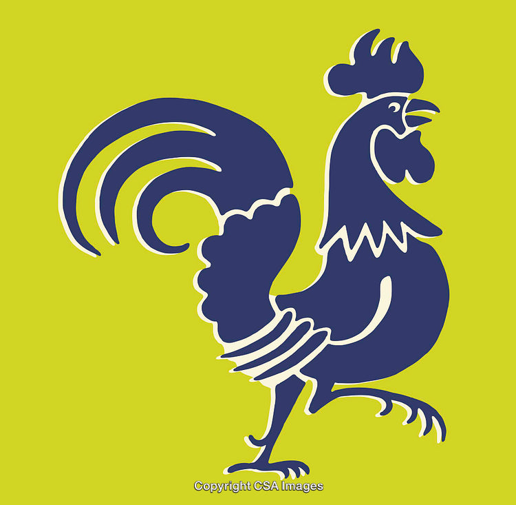 Vibrant Illustration of a Rooster in Artistic Line Art Style