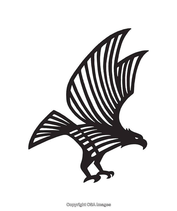 Black and White Line Art Falcon Illustration with Outstretched Wings