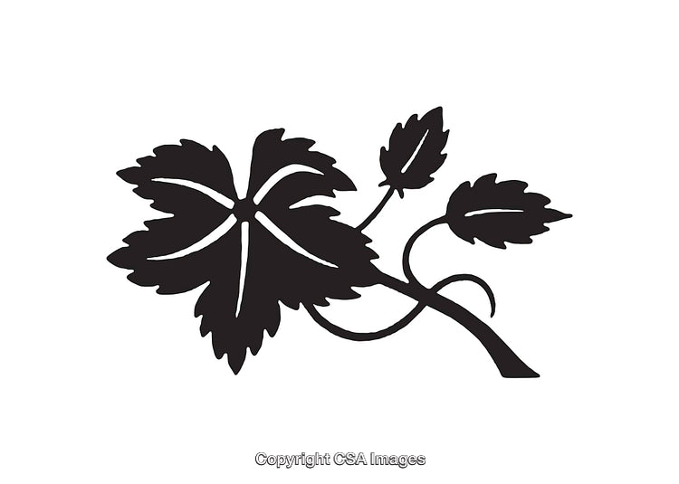 Silhouette of a Leafy Branch in Minimalist Style