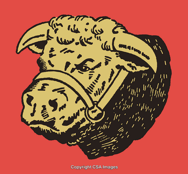 Vintage Bull Illustration on Bold Red Background