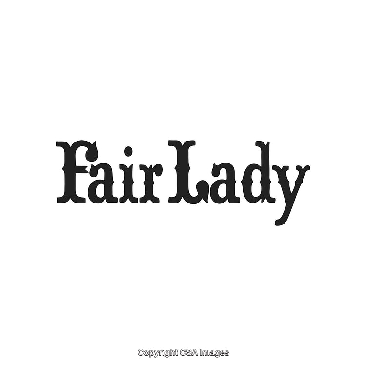 Classic Black Font Logo Featuring the Words 'Fair Lady' in Bold Text