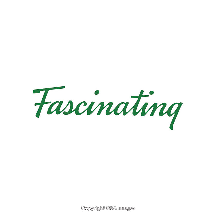 Stylized Green Handwritten Brushstroke Lettering on White Background