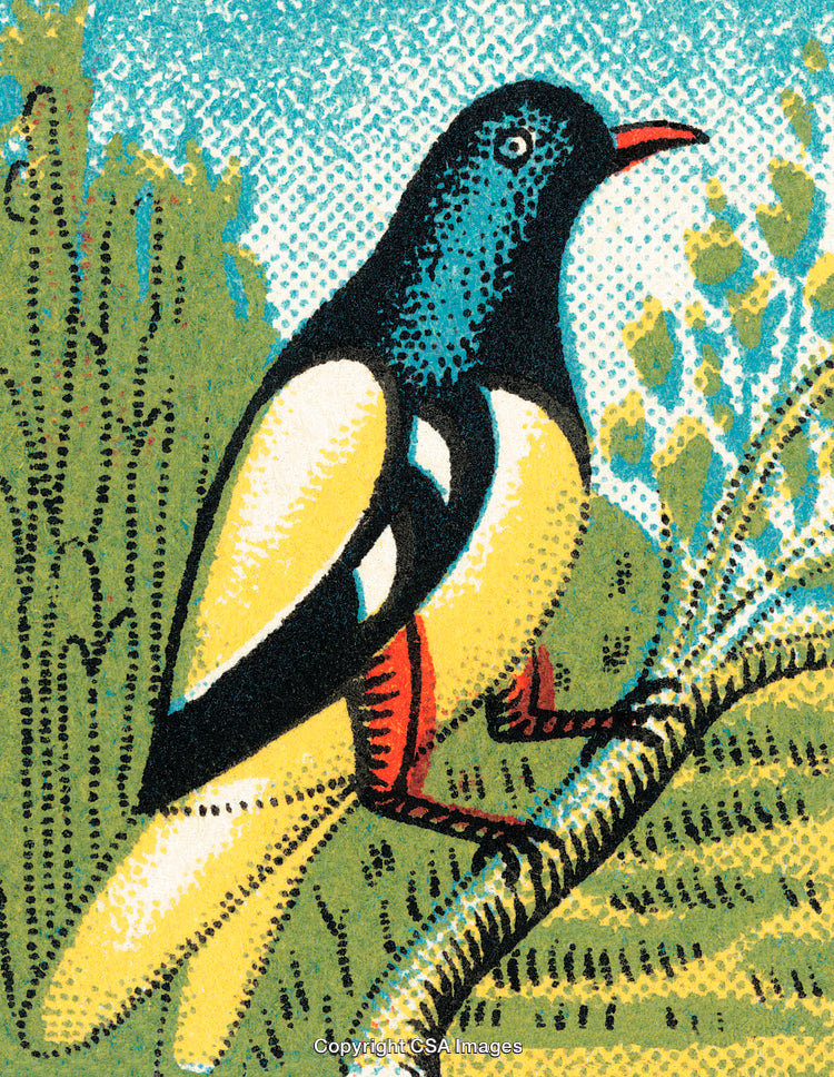 Colorful Bird Illustration Featuring Nature with Bright and Vibrant Details