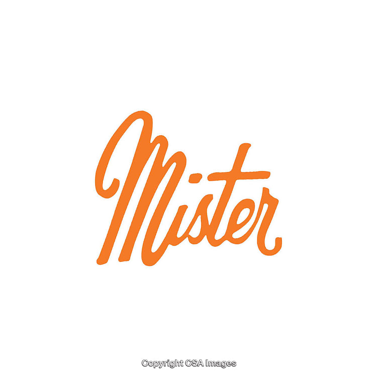 Stylish Orange Mister Lettering in Artistic Font on White Background