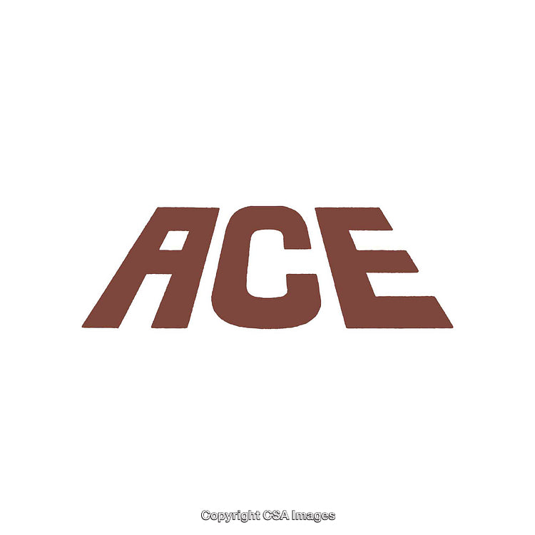 Bold ACE Word Mark in a Clean Minimalist Style Design