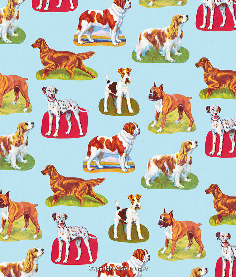 Variety of Dogs