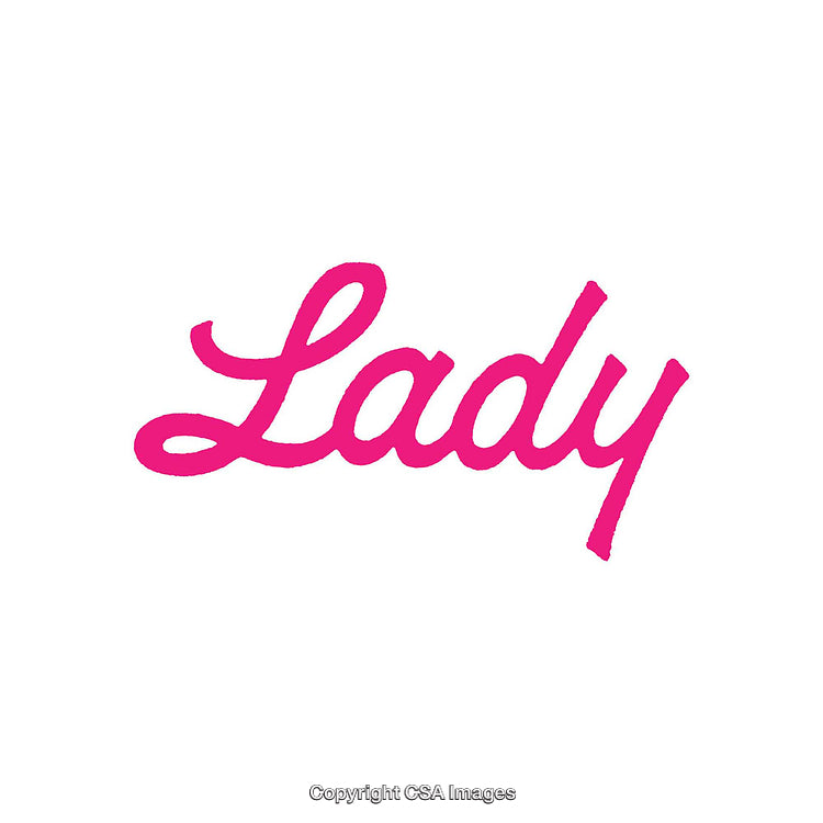 Elegant Pink Script Typography of the Word 'Lady' on White Background