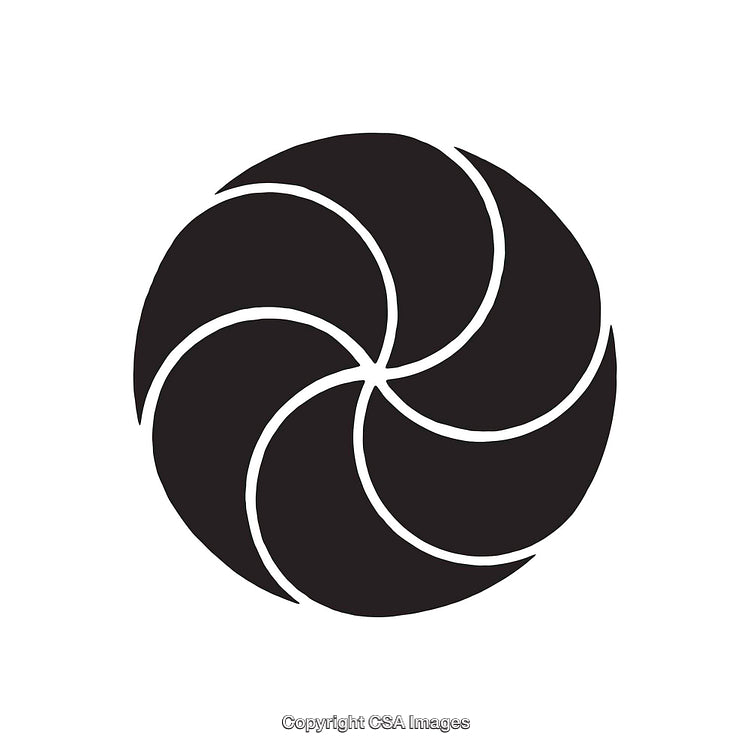 Abstract Black and White Swirl Shape Artwork
