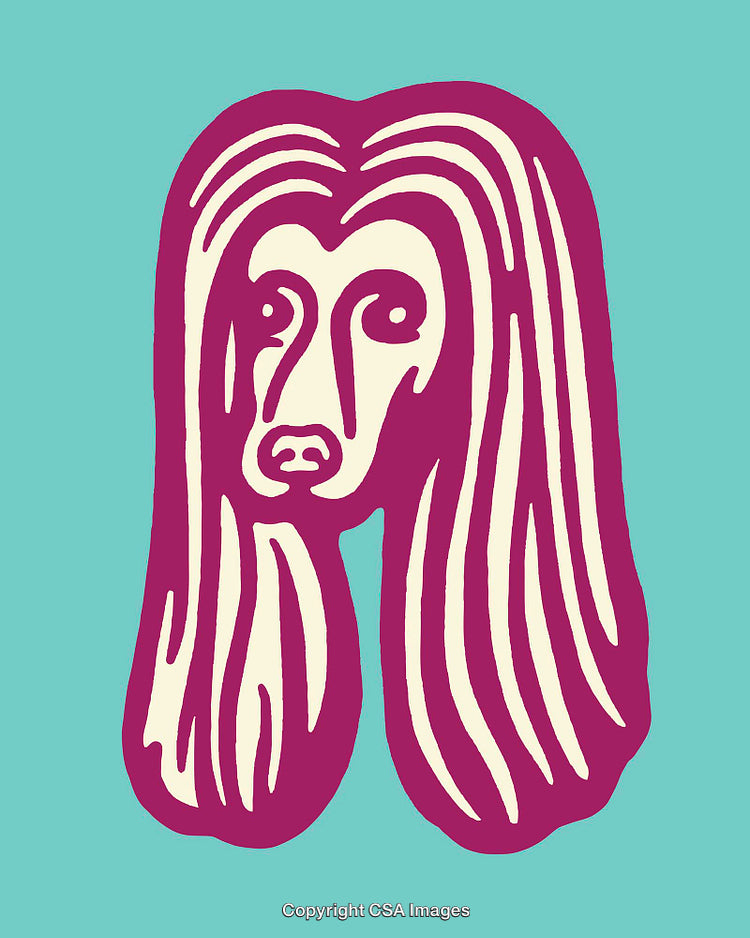 Stylized Line Art of a Dog Illustration on a Vibrant Background
