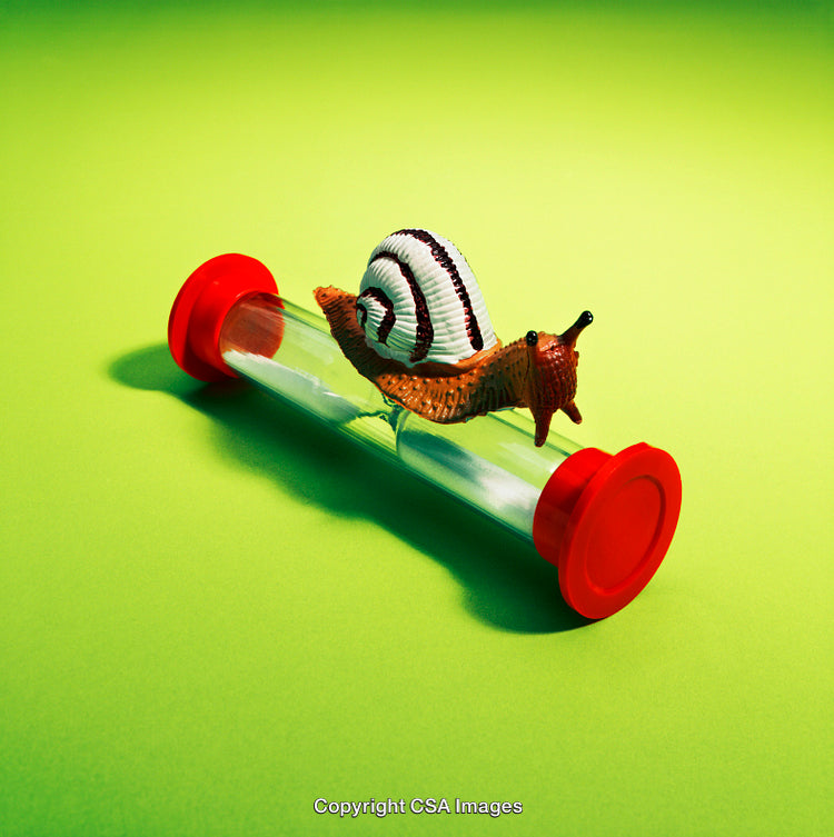 Toy Snail Balancing on a Clear Tube Against Bright Green Background