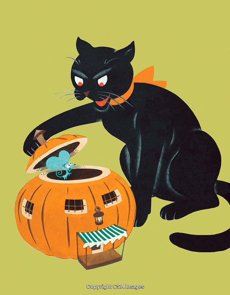 Animated Black Cat Interacting With a Pumpkin House and a Tiny Mouse