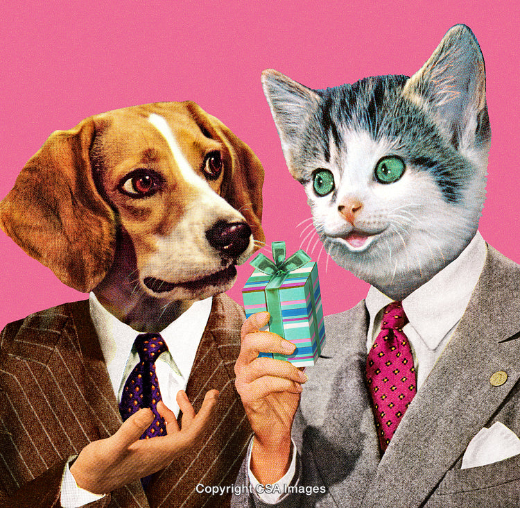 Humorous Conceptual Art of Dog and Cat in Business Suits Exchanging A Gift