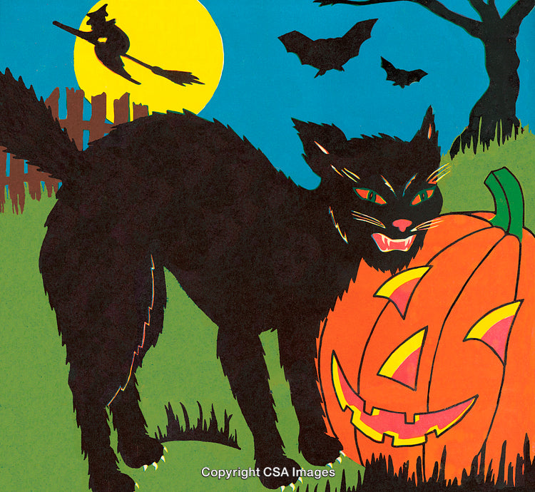 Halloween Scene Featuring Black Cat and Pumpkin Under Full Moon