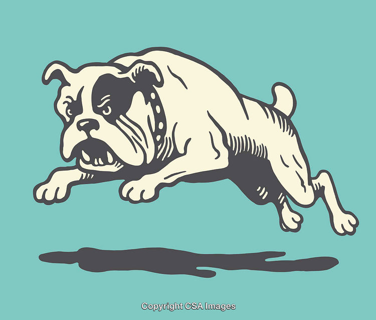 Vintage Style Illustration of Running Bulldog on Blue Background