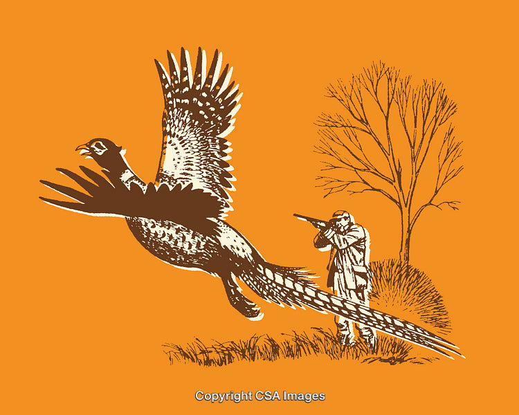 Hunter Aiming at a Pheasant in a Woodland Scene with Bold Orange Background