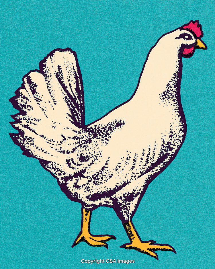 Pop Art Style Chicken Illustration on a Vibrant Blue Background