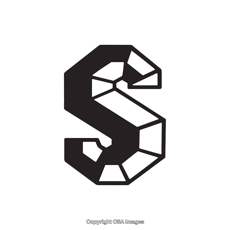 Geometric Artistic Letter S in Bold Black Stylish Design