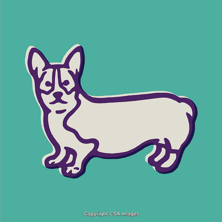 Minimalistic Line Art Illustration of a Dog on a Teal Background