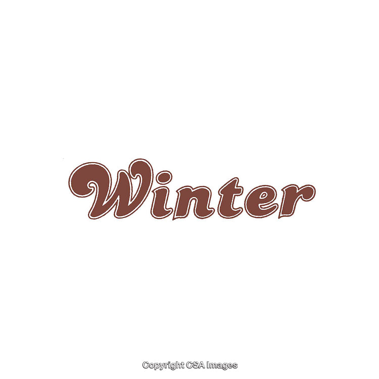 Elegant Brown Winter-Themed Typography in Artistic Font on White Background