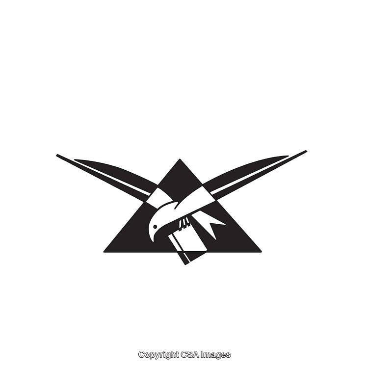 Eagle Silhouette Design with Black and White Line Art Geometry