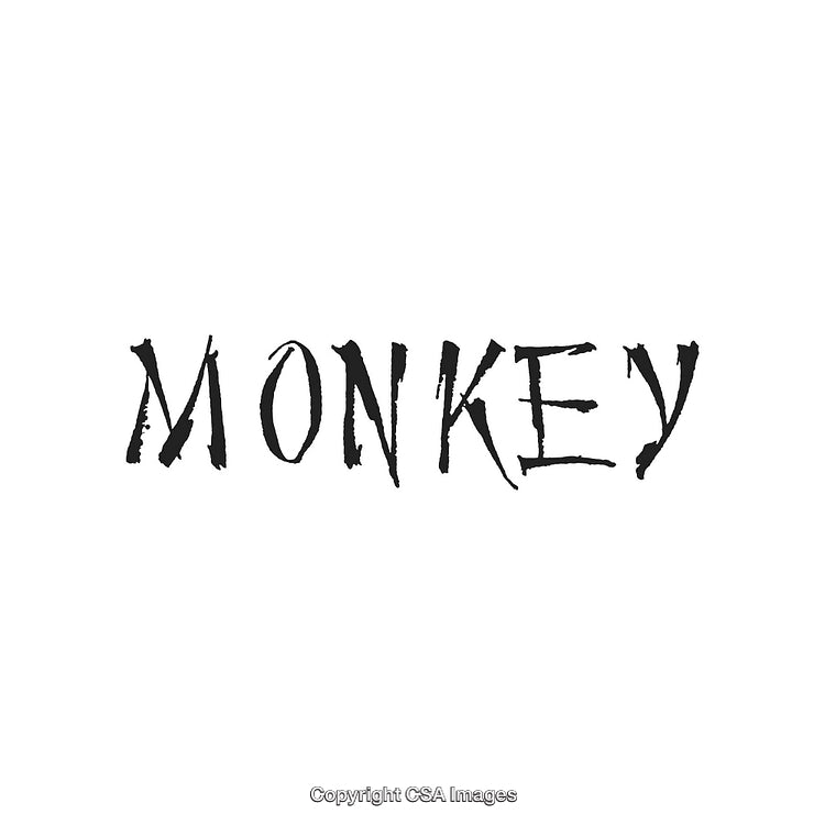 Stylized Bold Typeface Featuring the Word "Monkey" with Artistic Brush Style