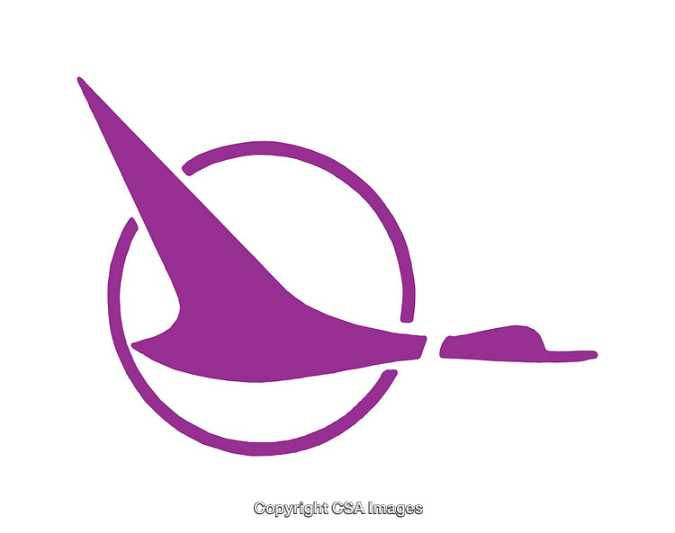 Purple Bird Icon with Circle Shape Symbolizing Elegance and Simplicity