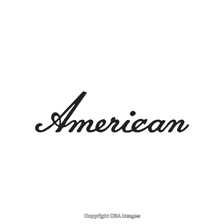Stylized Handwritten Typography Featuring the Word 'American' in Elegant Script