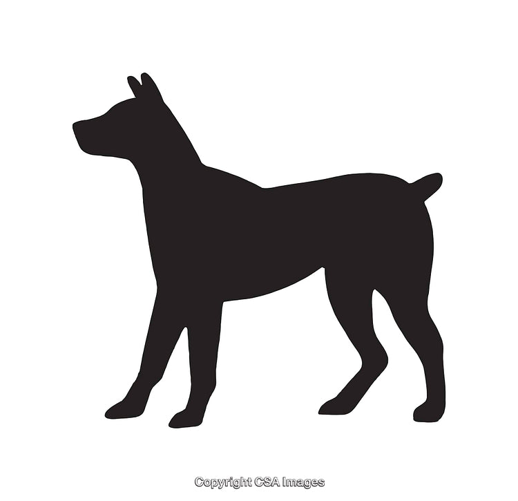 Silhouette of a Dog Standing in Profile View