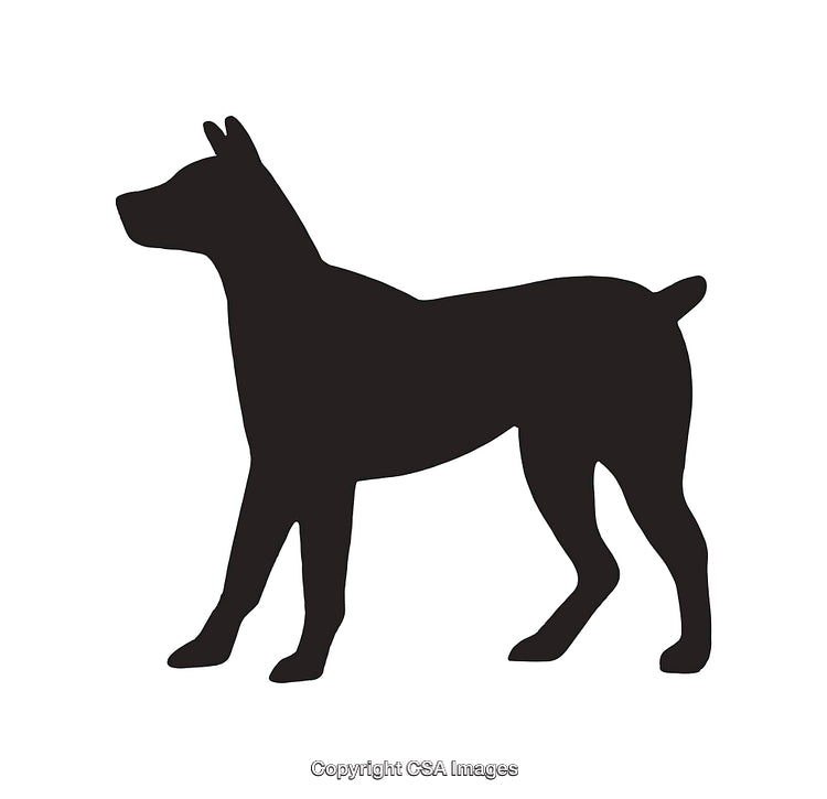 Silhouette of a Dog Standing in Profile View