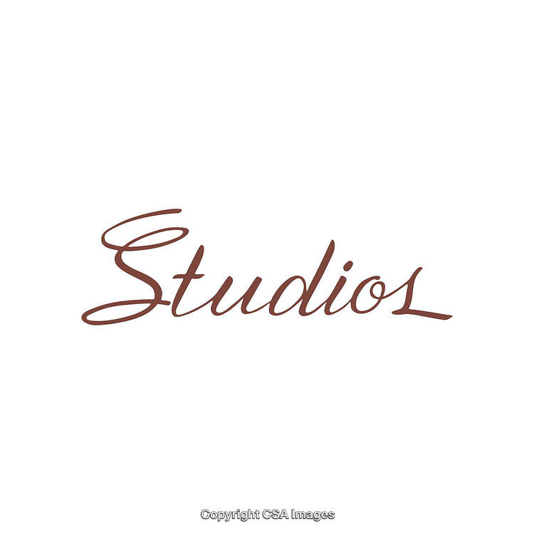 Elegant Calligraphy Style Text Inscription on White Background